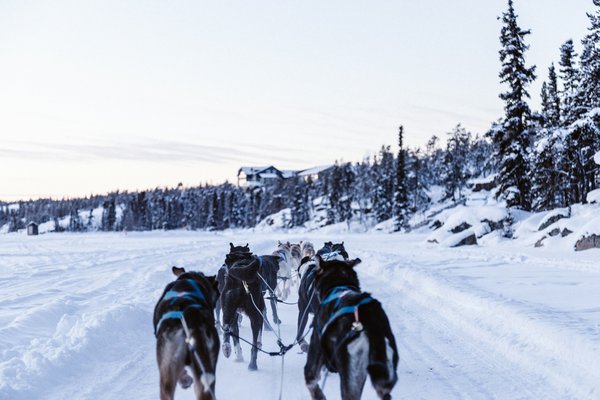 Quels sont les avantages de louer une cabane en Norvège avec des excursions en traîneau à chiens et des cours de sculpture sur glace?