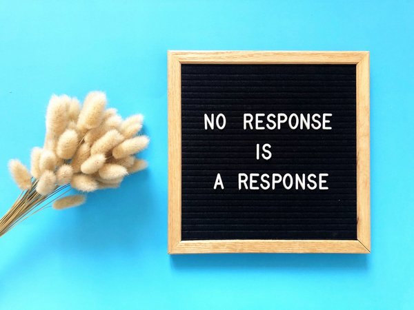 Quelles sont les meilleures pratiques pour camper en forêt dense sans perturber la faune?